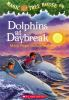 Book cover for "Dolphins at daybreak".